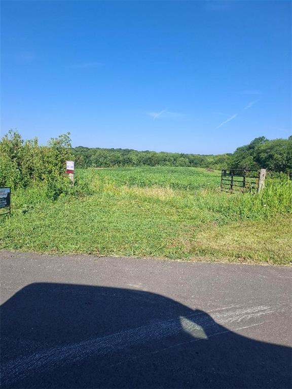 Listing Photo MLS #HMS2630315