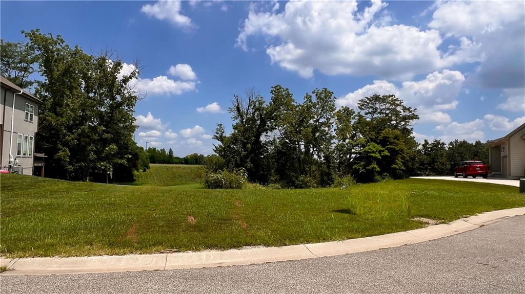 Listing Photo MLS #HMS2630473