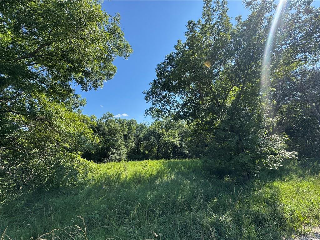 Listing Photo MLS #HMS2630664