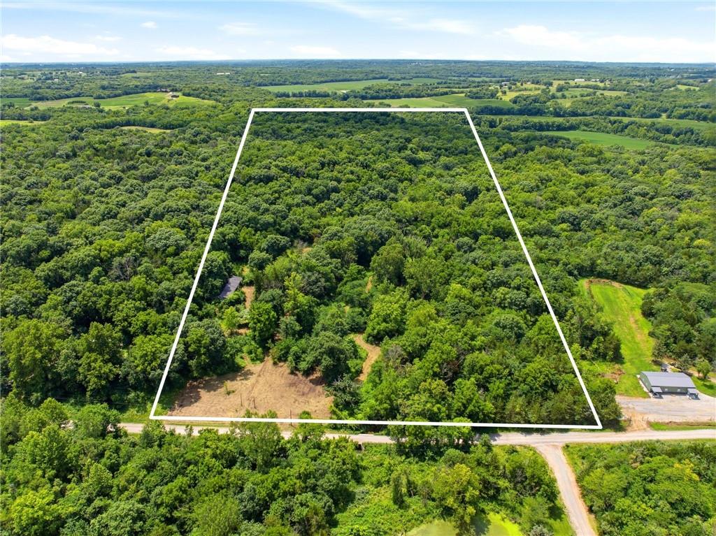 Listing Photo MLS #HMS2630821