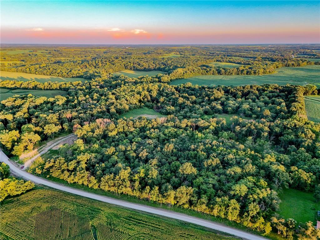 Listing Photo MLS #HMS2630836