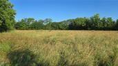 Listing Photo MLS #HMS2630838