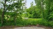 Listing Photo MLS #HMS2630844