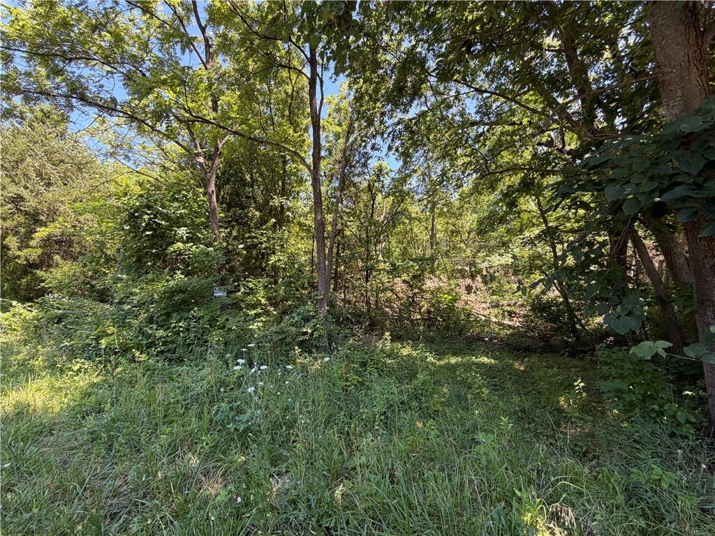 Listing Photo MLS #HMS2631037