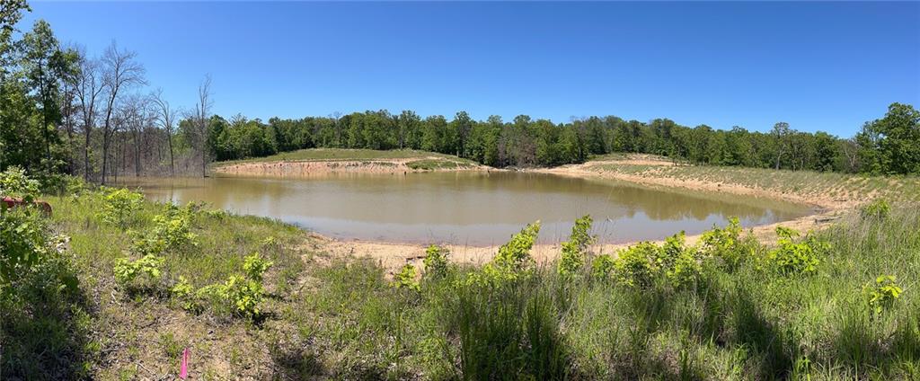 Listing Photo MLS #HMS2631085