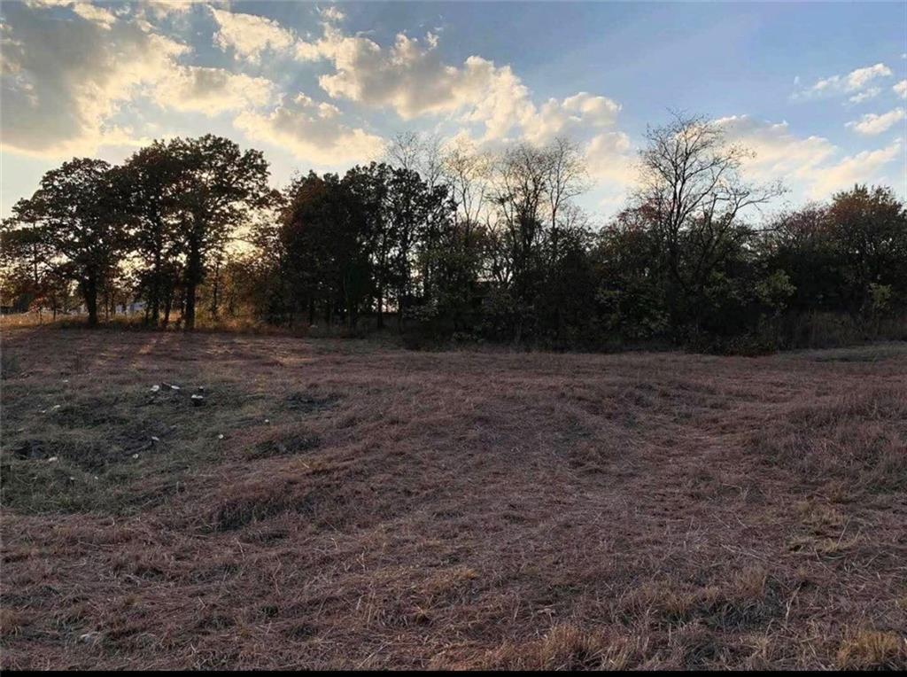 Listing Photo MLS #HMS2631255