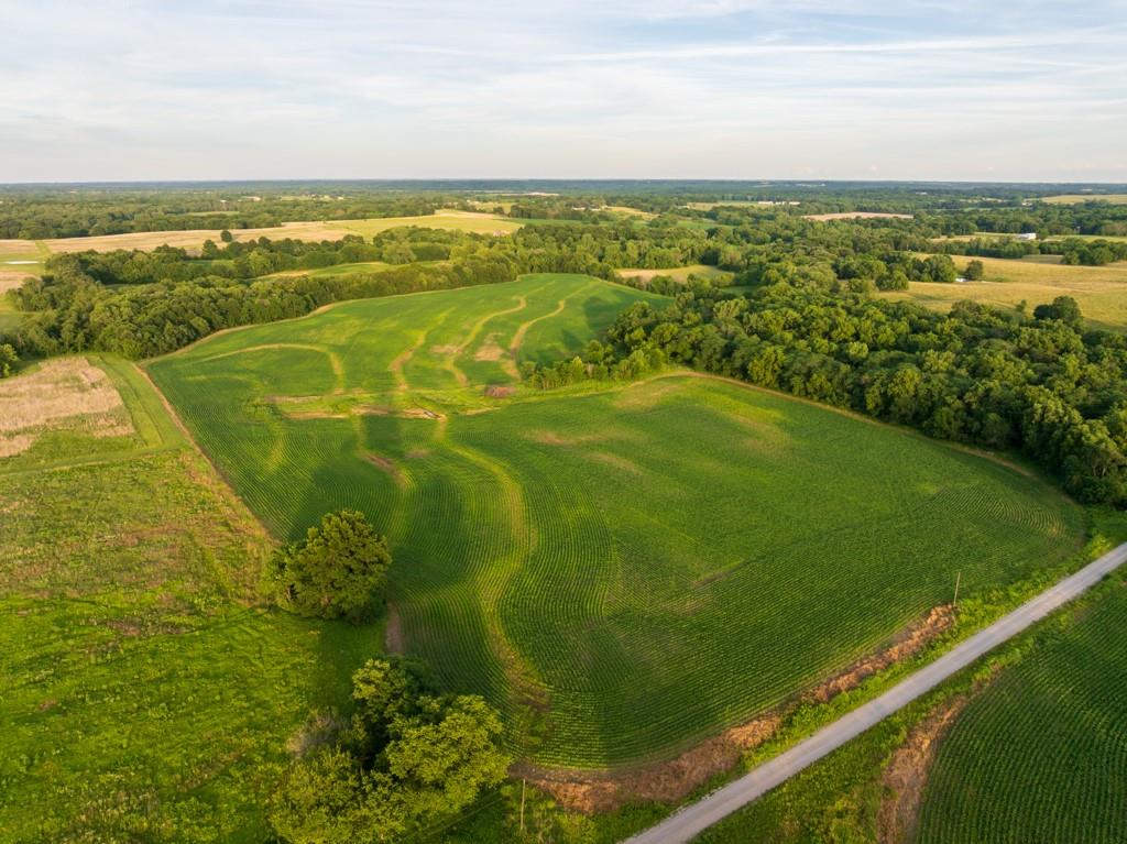 Listing Photo MLS #HMS2631372