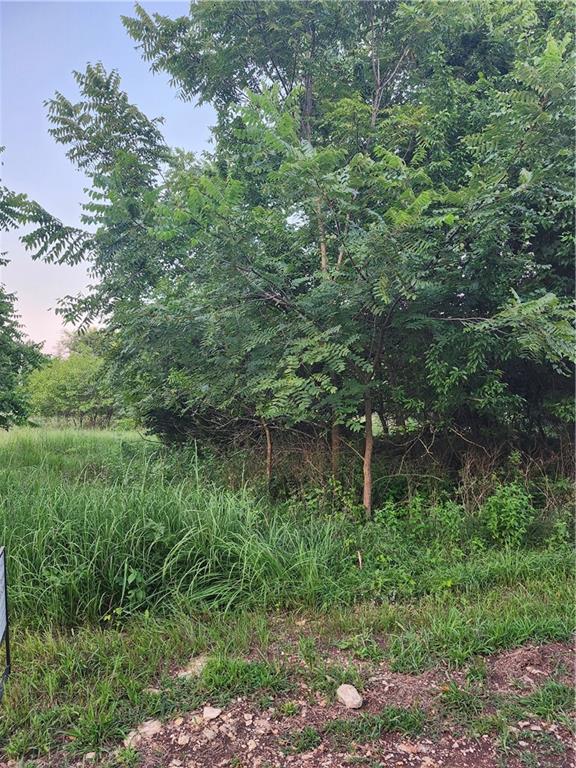Listing Photo MLS #HMS2631580