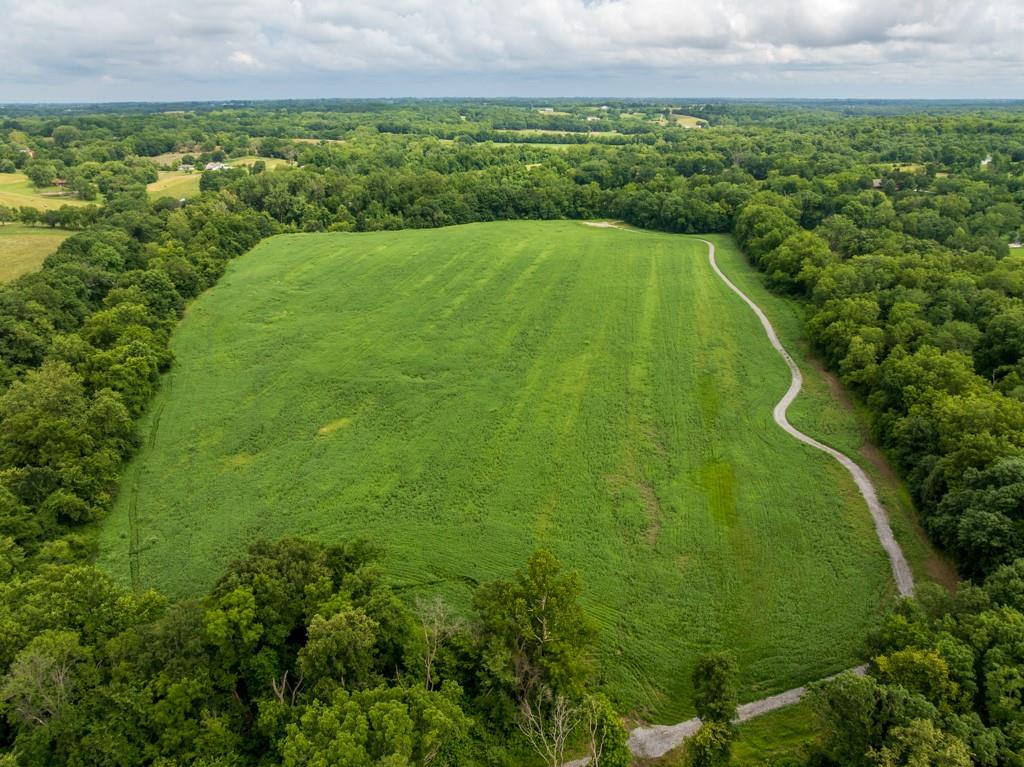 Listing Photo MLS #HMS2631842