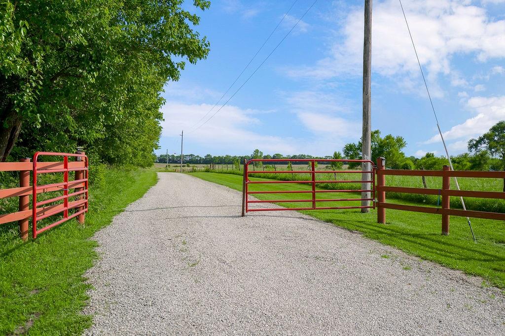 Listing Photo MLS #HMS2632006