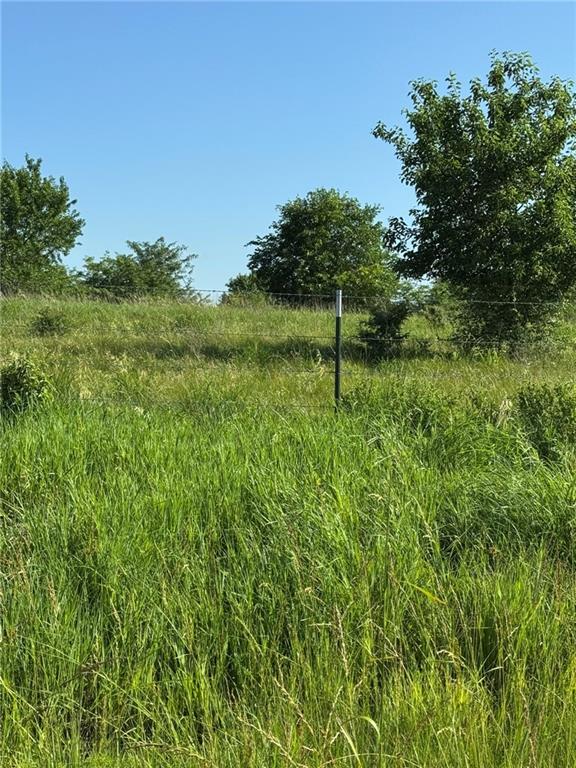 Listing Photo MLS #HMS2632083