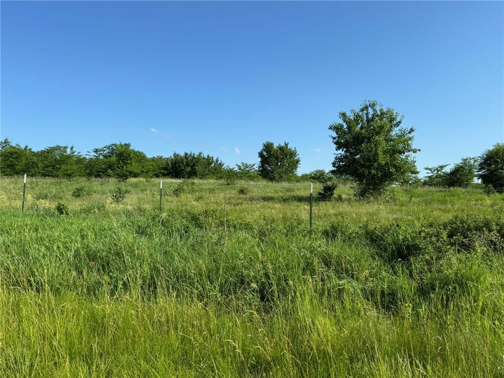 Listing Photo MLS #HMS2632085