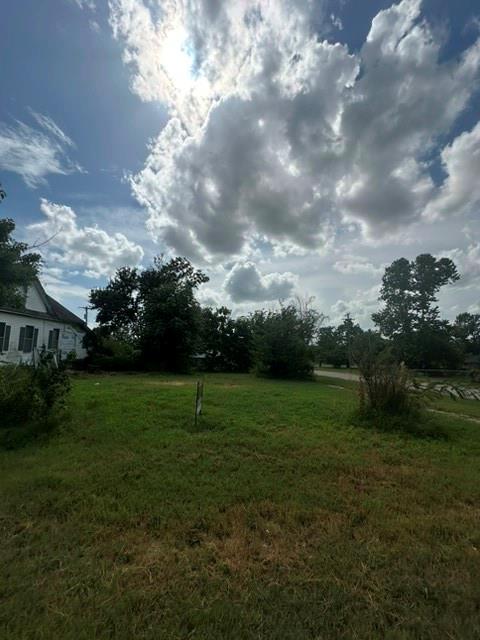 Listing Photo MLS #HMS2632239