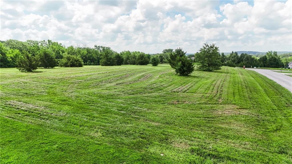 Listing Photo MLS #HMS2632251