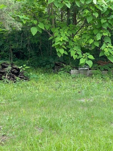 Listing Photo MLS #HMS2632452