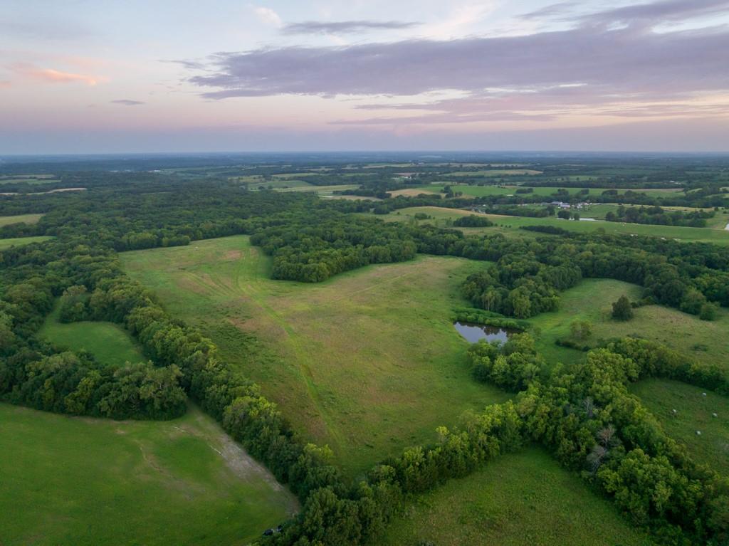 Listing Photo MLS #HMS2632723