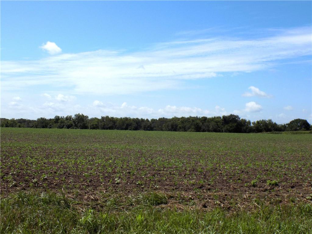 Listing Photo MLS #HMS2632910