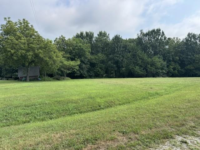 Listing Photo MLS #HMS2633418
