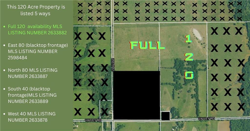 Listing Photo MLS #HMS2633882