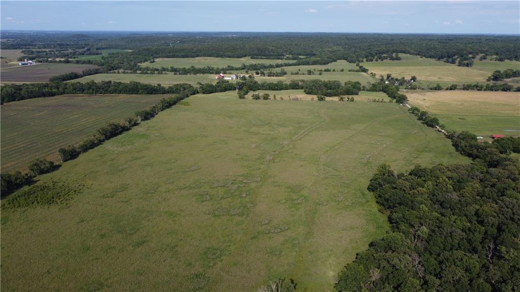 Listing Photo MLS #HMS2634072