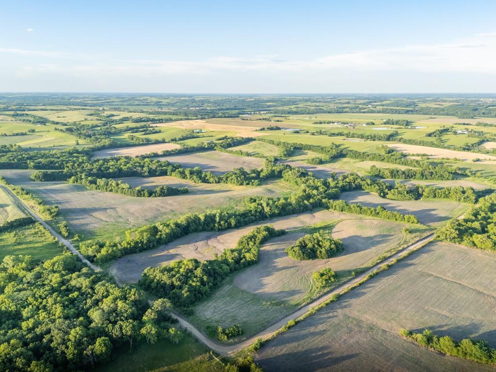 Listing Photo MLS #HMS2634309