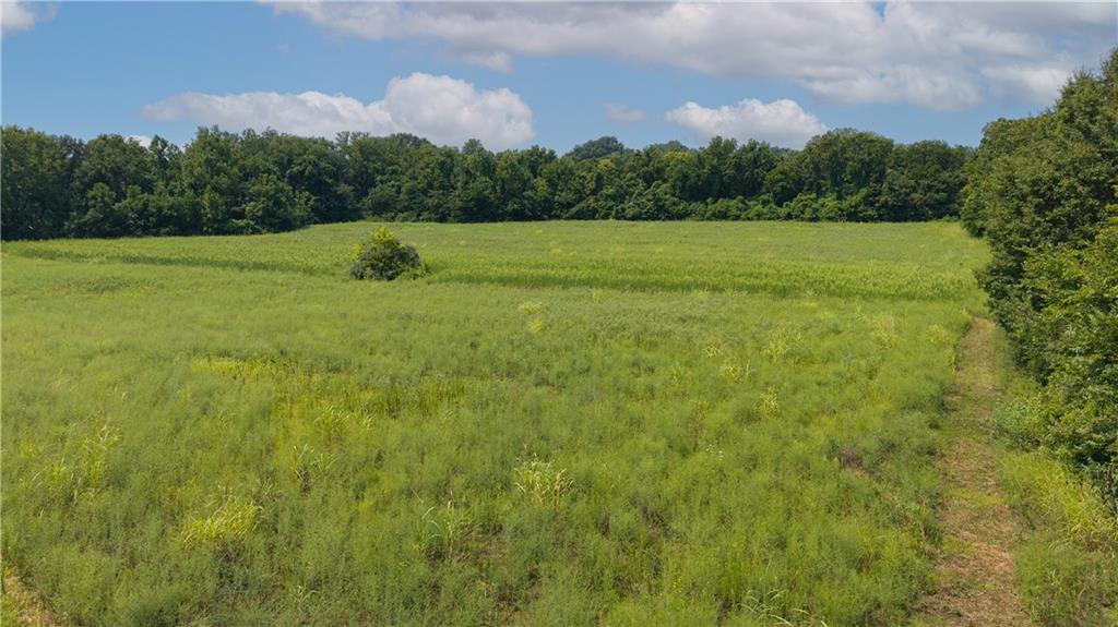 Listing Photo MLS #HMS2635083
