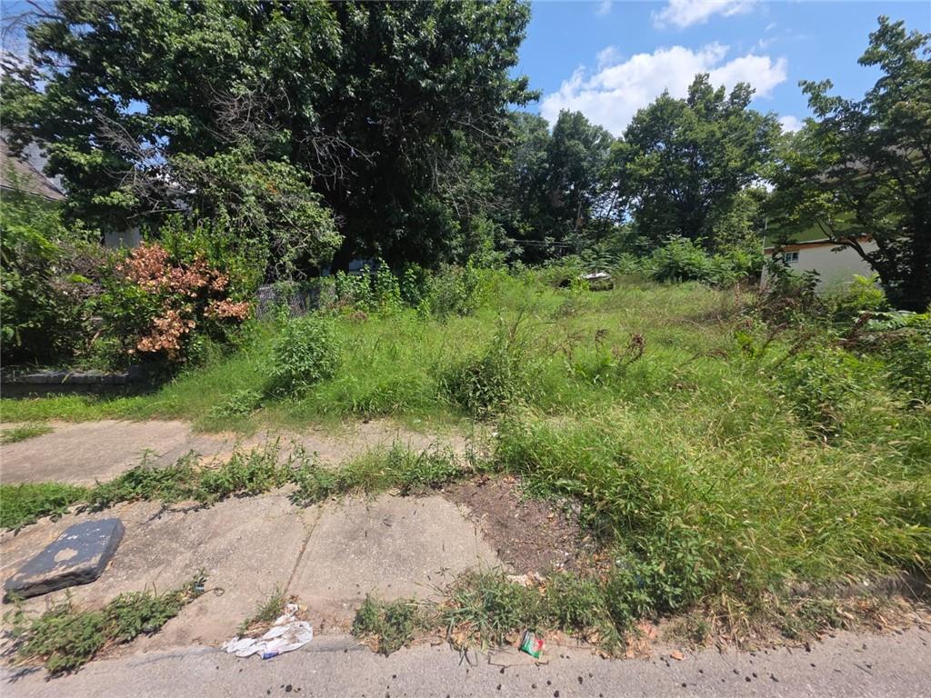 Listing Photo MLS #HMS2635172