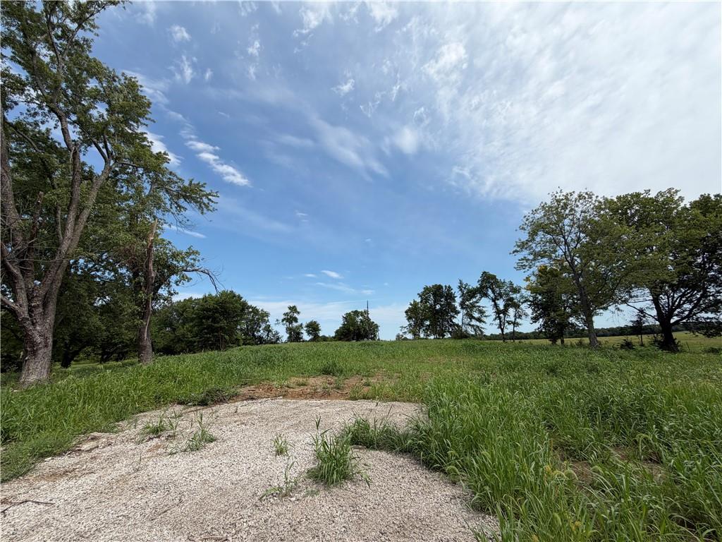 Listing Photo MLS #HMS2635756