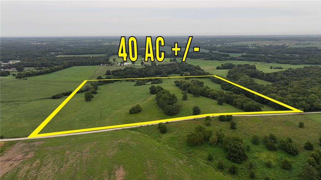 Listing Photo MLS #HMS2636329