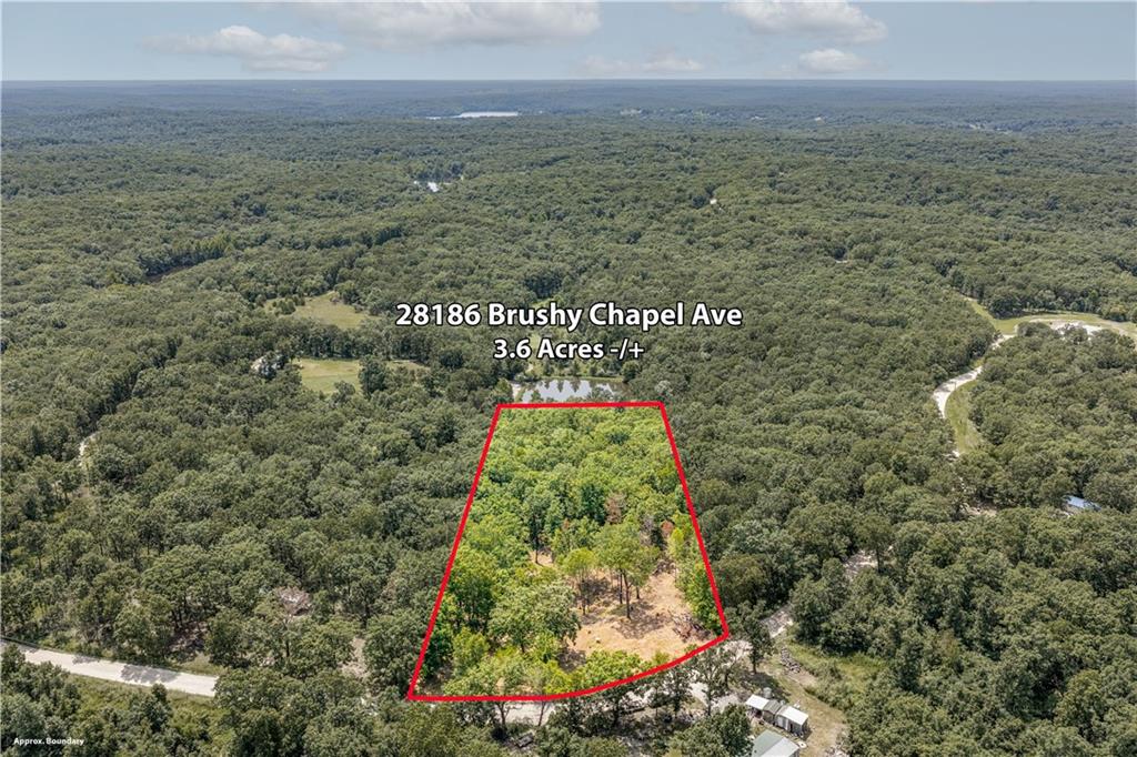 Listing Photo MLS #HMS2636339
