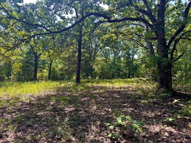 Listing Photo MLS #HMS2636700