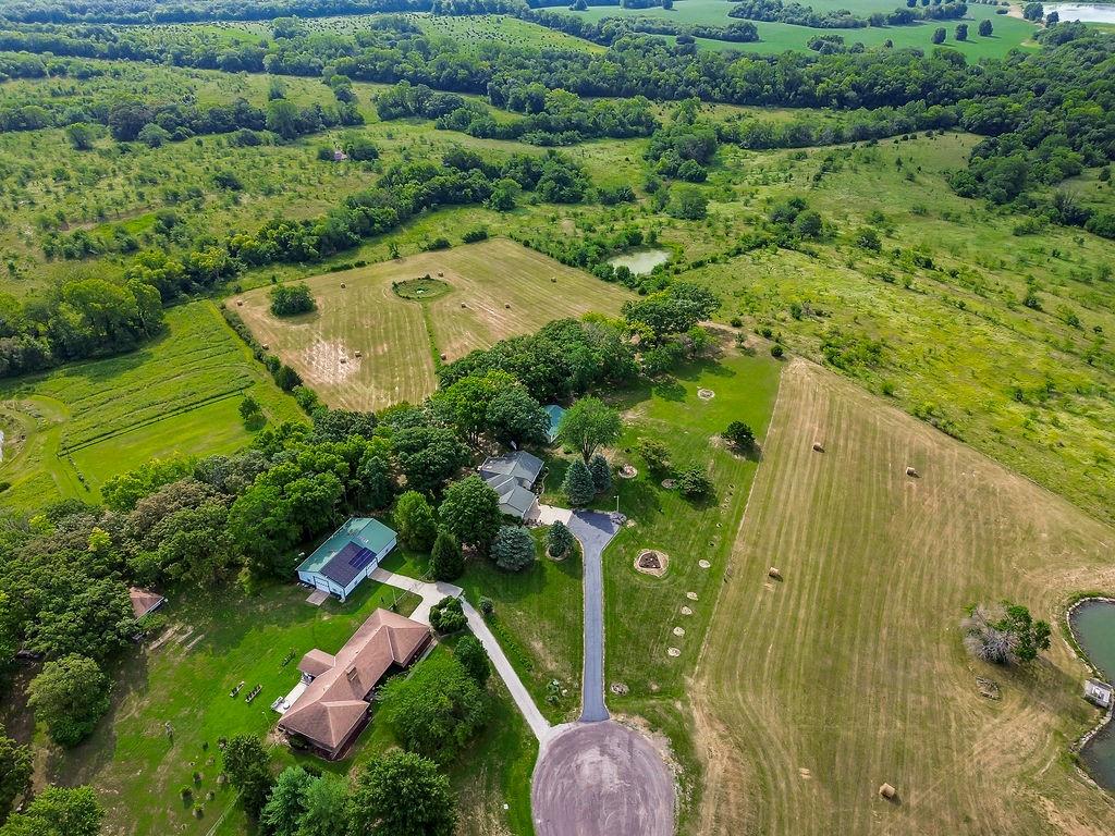 Listing Photo MLS #HMS2636744