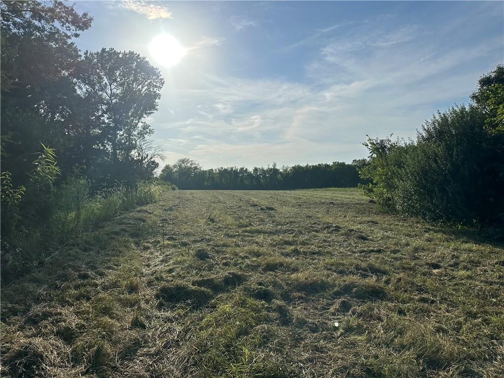 Listing Photo MLS #HMS2637398