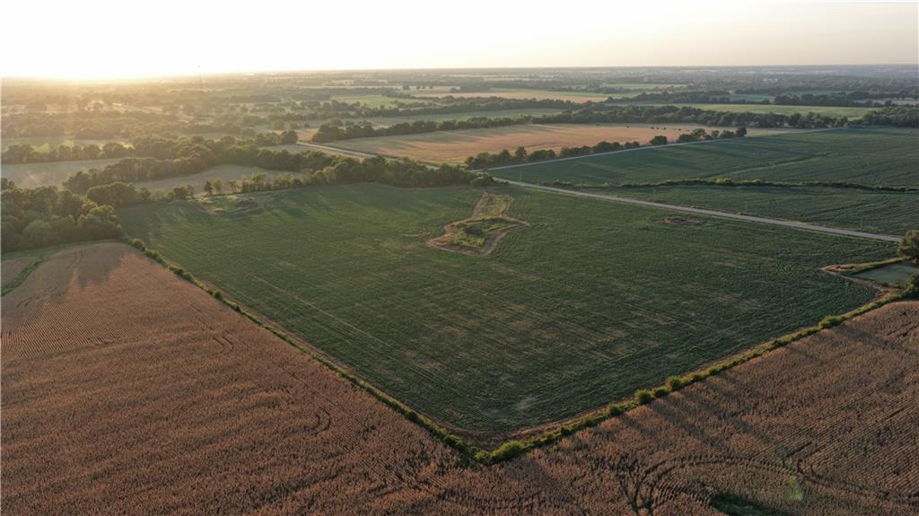 Listing Photo MLS #HMS2637929