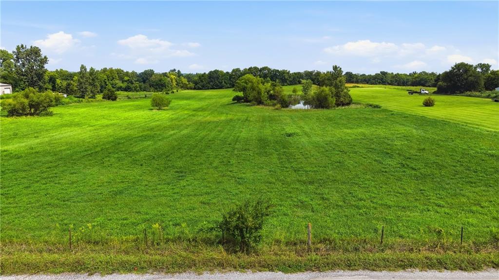 Listing Photo MLS #HMS2638115