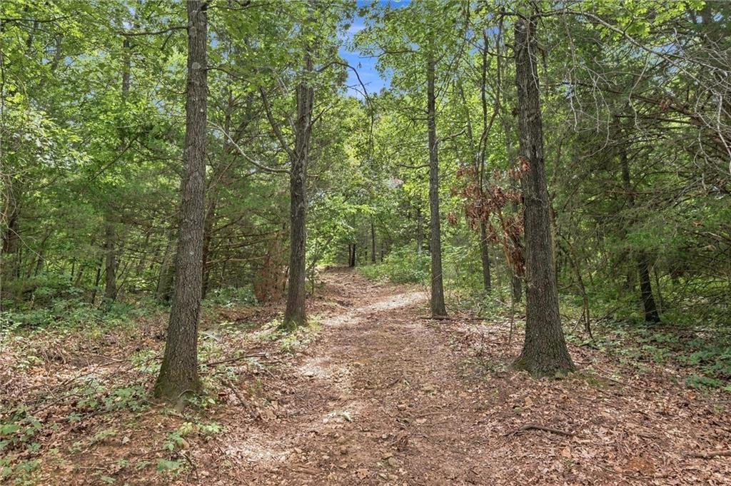 Listing Photo MLS #HMS2638228