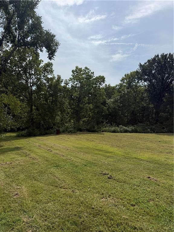 Listing Photo MLS #HMS2638483