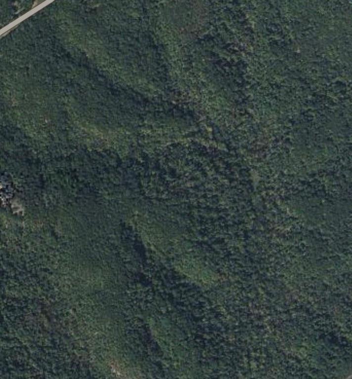 Listing Photo MLS #HMS2638512