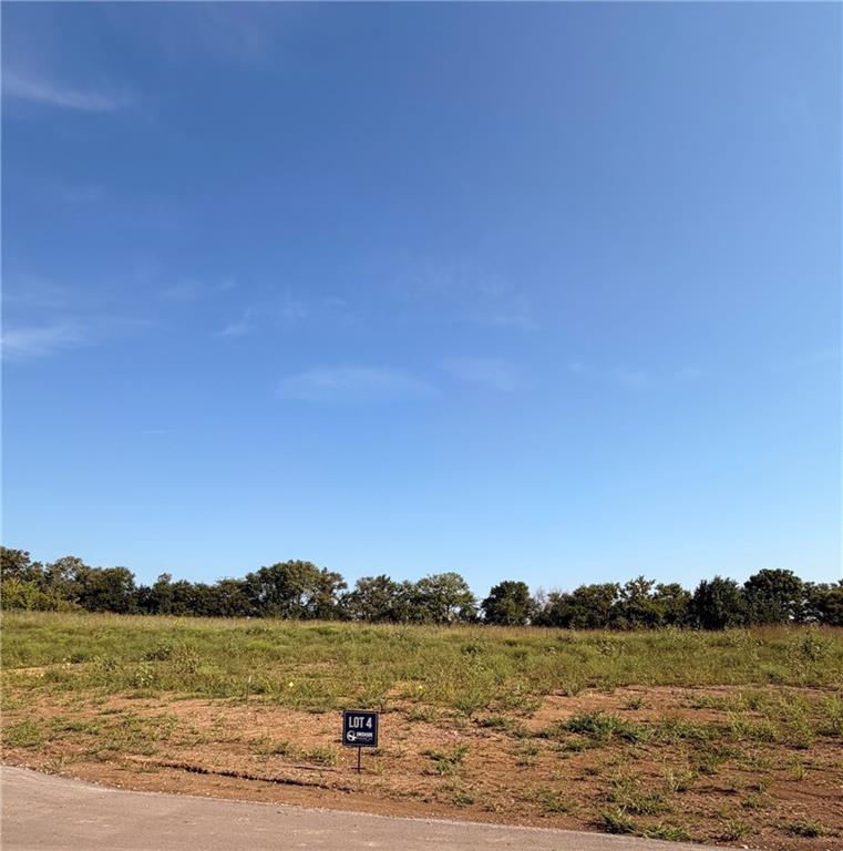 Listing Photo MLS #HMS2638717