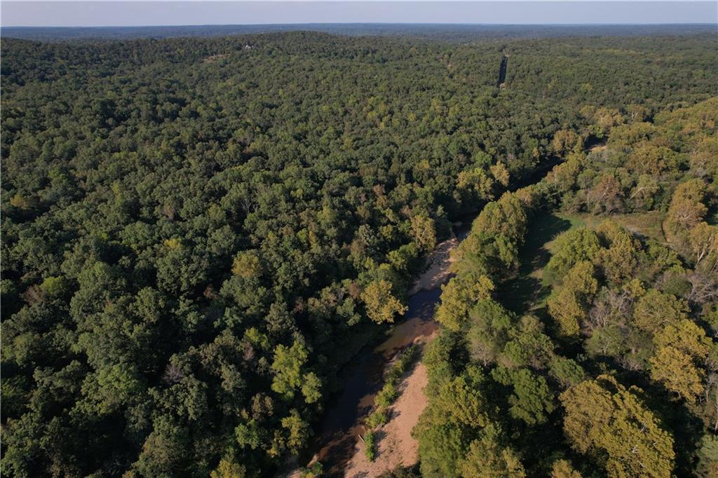Listing Photo MLS #HMS2638721