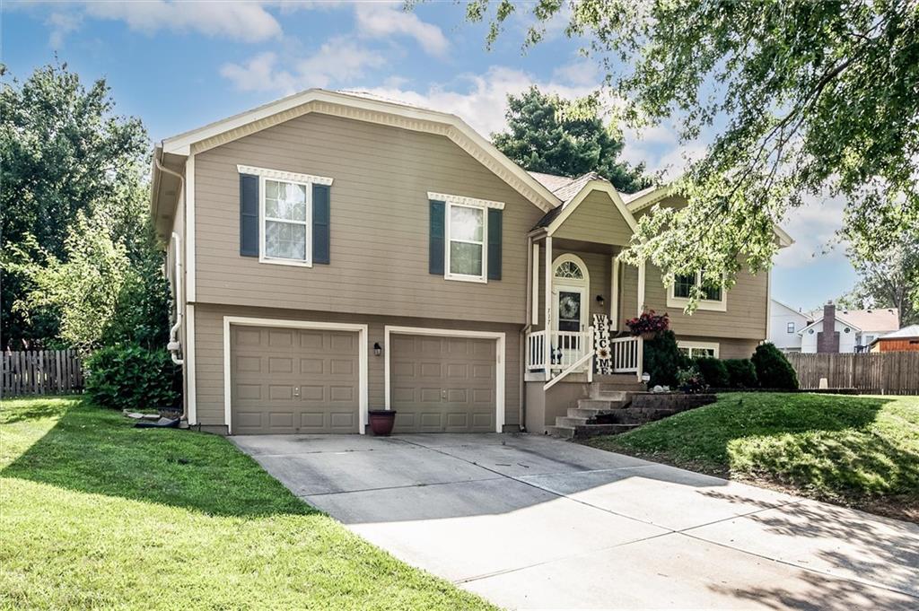 Listing Photo MLS #HMS2638742