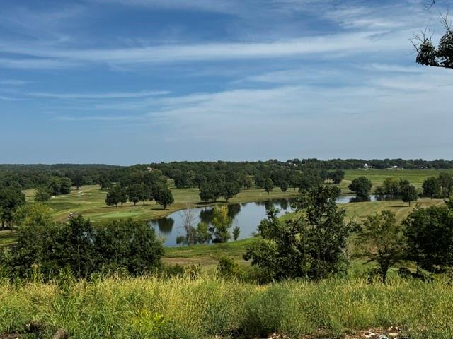 Listing Photo MLS #HMS2638751