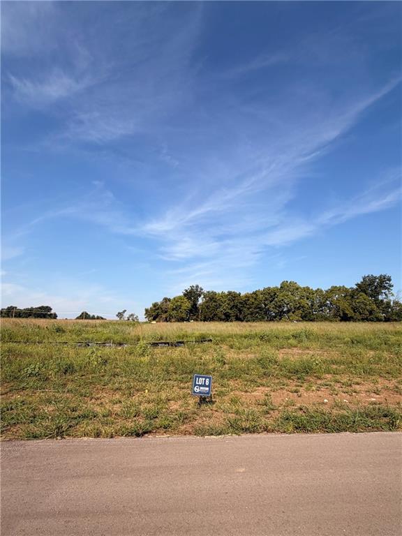 Listing Photo MLS #HMS2638830