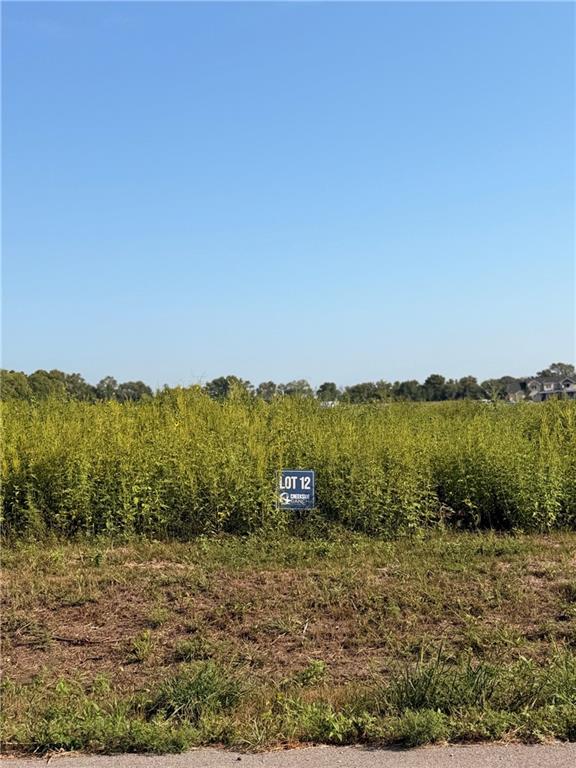 Listing Photo MLS #HMS2638857