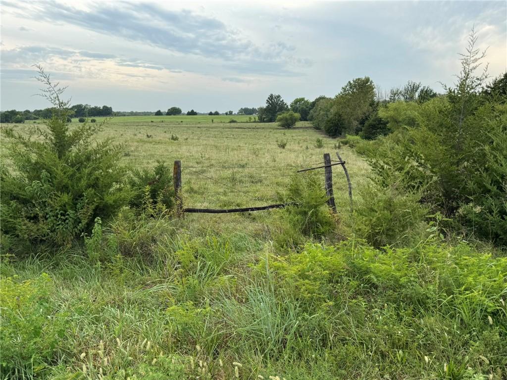 Listing Photo MLS #HMS2638891