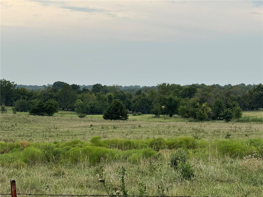 Listing Photo MLS #HMS2638903