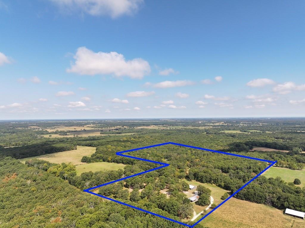 Listing Photo MLS #HMS2639333