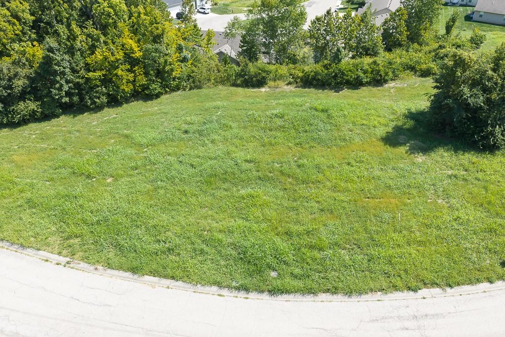 Listing Photo MLS #HMS2639384