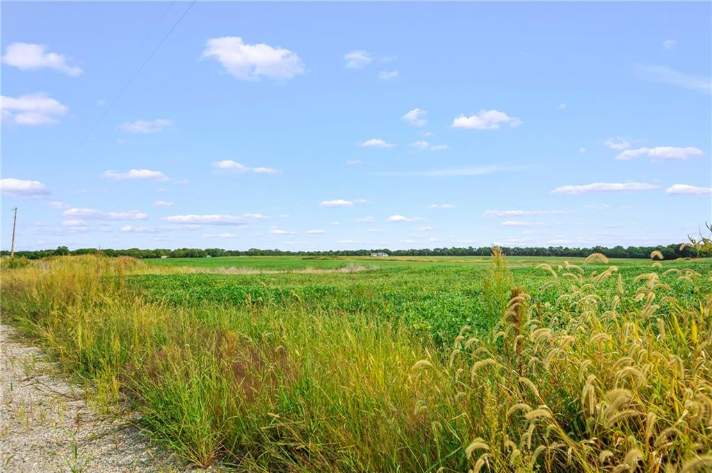 Listing Photo MLS #HMS2639459