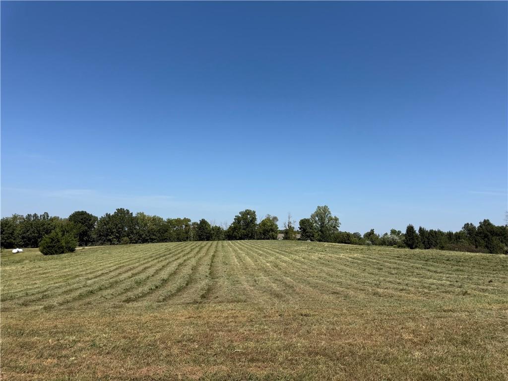 Listing Photo MLS #HMS2639760